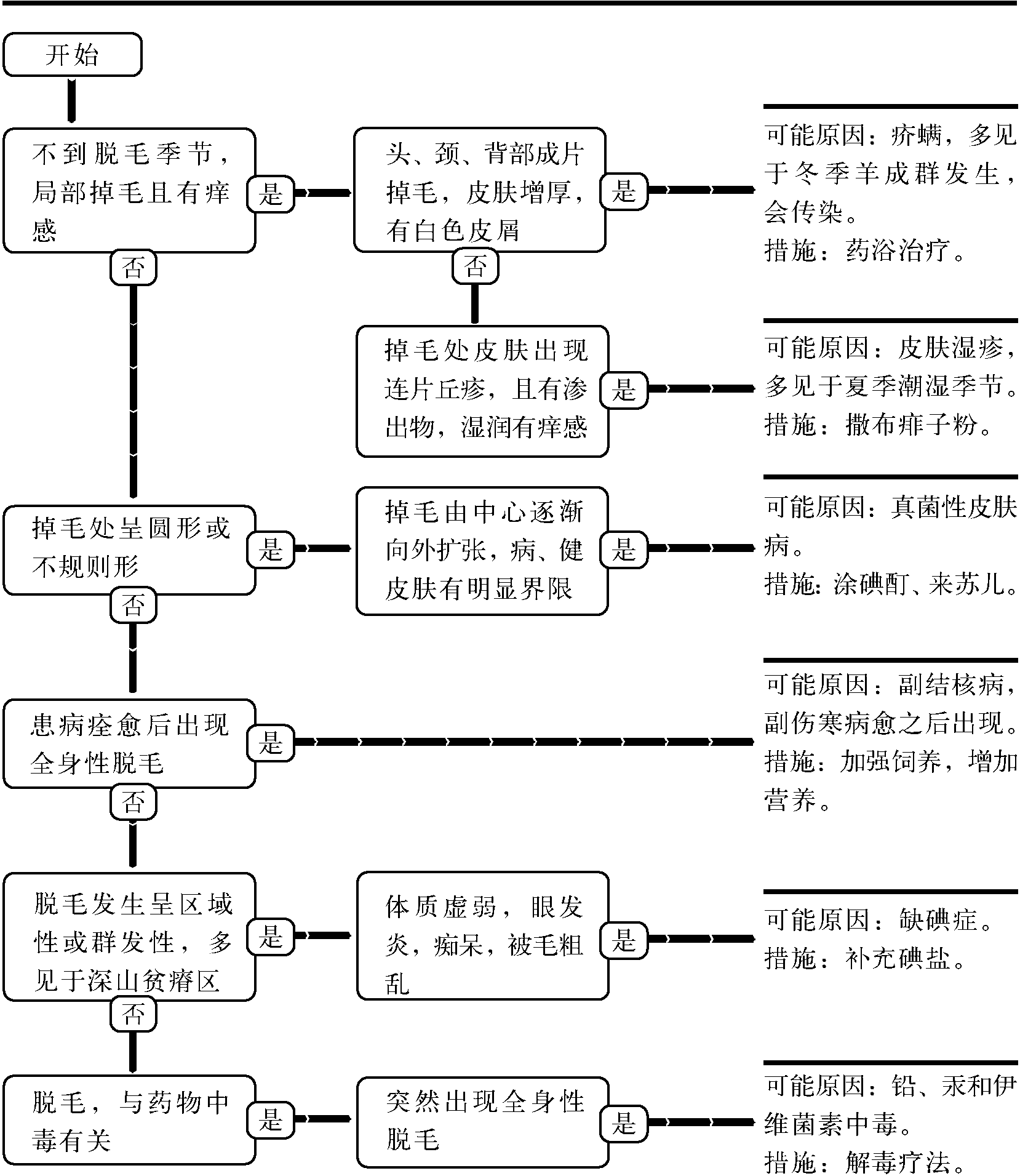 11.被毛脫落